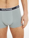 Tommy Hilfiger Underwear Oprijete boksarice 3 Piece