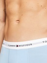 Tommy Hilfiger Underwear Oprijete boksarice 3 Piece