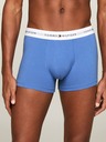 Tommy Hilfiger Underwear Oprijete boksarice 3 Piece