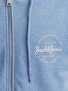 Jack & Jones Forest Pulover