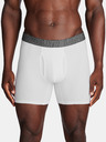 Under Armour UA Performance Cotton 6in Oprijete boksarice 3 Piece