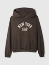 GAP Pulover