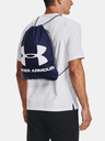 Under Armour UA Ozsee Nahrbtnik