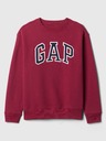 GAP Pulover