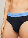 Tommy Hilfiger Underwear Spodnjice 3 Piece