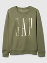 GAP Pulover