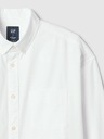 GAP Oxford Big Srajca