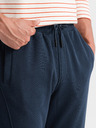 Ombre Clothing Moške bombažne trenirke BASIC Ombre Clothing