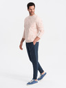 Ombre Clothing Moške bombažne trenirke BASIC Ombre Clothing